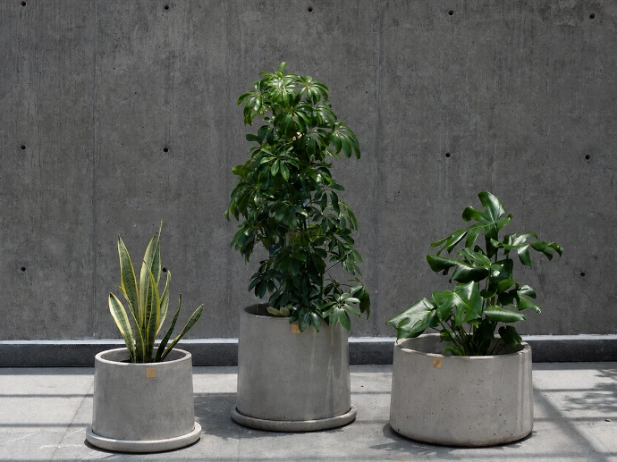 Plantas y macetas de concreto Quina para un proyecto arquitectónico